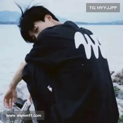 井舟红